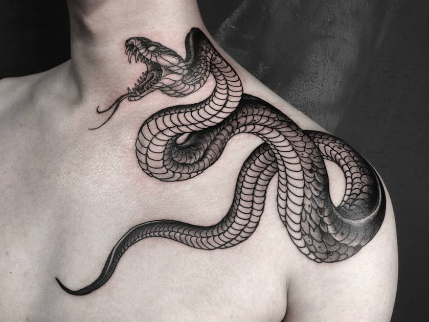 Les plus beaux tatouages de serpent ! – TatouageLife